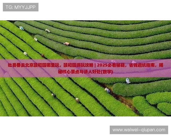 玩足球直播在线观看免费避坑指南彩票数字高频玩法